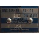 BNS 519-FR-60-111 Positionsschalter