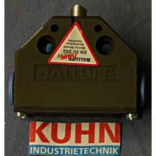 Positionsschalter BNS 819-FD-60-101