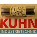 Sicherung 30A 250V  PCI30