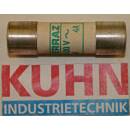 Sicherung 4A 500V