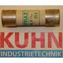 Sicherung 25 A 500V