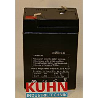 Blei Akku für Philips-Steuerung