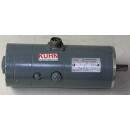 P310 Gleichstrom Servomotor