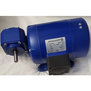 WK5001314 Getriebegleichstrommotor