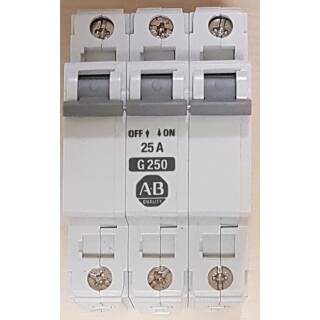 Leistungsschutzschalter 25A