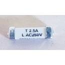 SMD-Sicherung  2,5AT 3x10mm