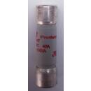 PROTISTOR Halbleiterschutz 40A