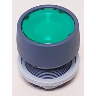 RTG  Drucktaste Grün